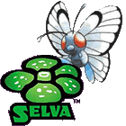 Selva